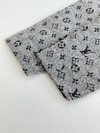 Louis Vuitton Hoodie
