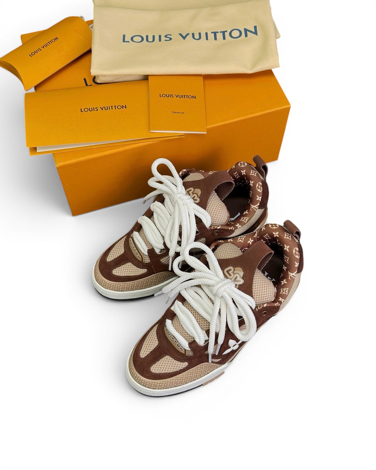 Louis Vuitton Skate Sneakers
