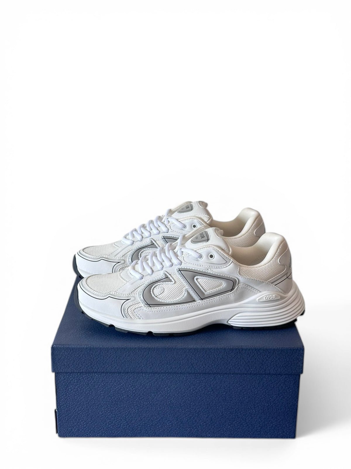 Dior B30 Sneakers