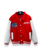 Louis Vuitton Varsity Jacket